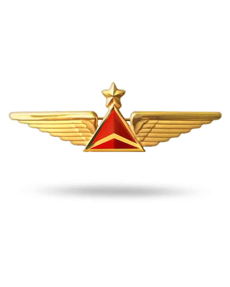 American Airlines First Officer Wings